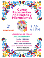 Taller: Reparación de Grietas y Microsismos.